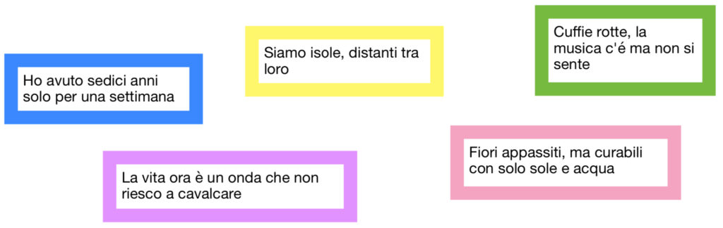 sedici