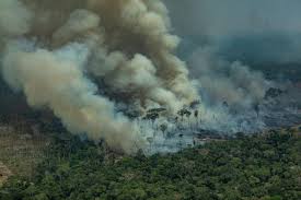 Incendio Amazzonia